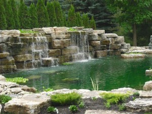 waterfall pond by luke leone