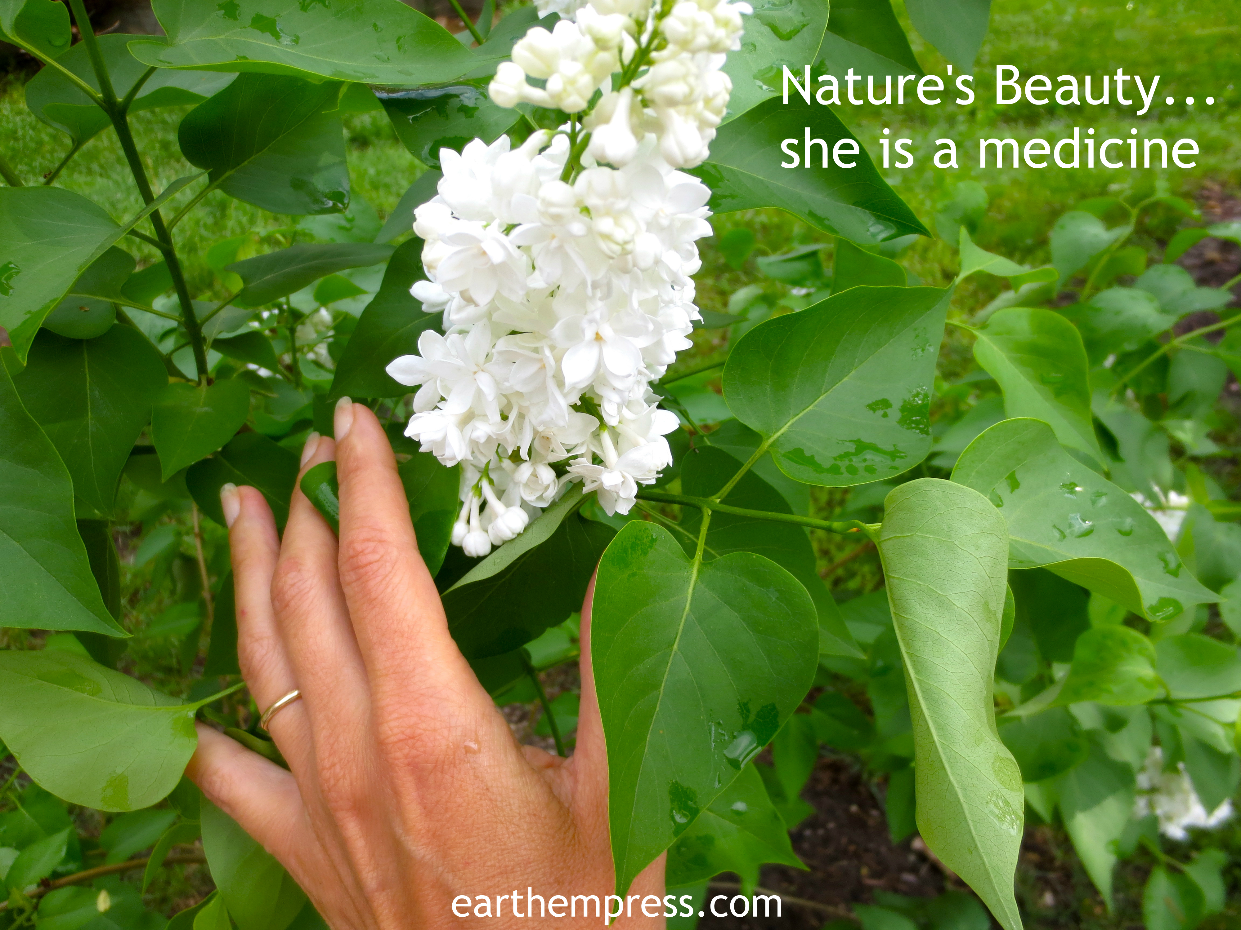nature's beauty is a medicine