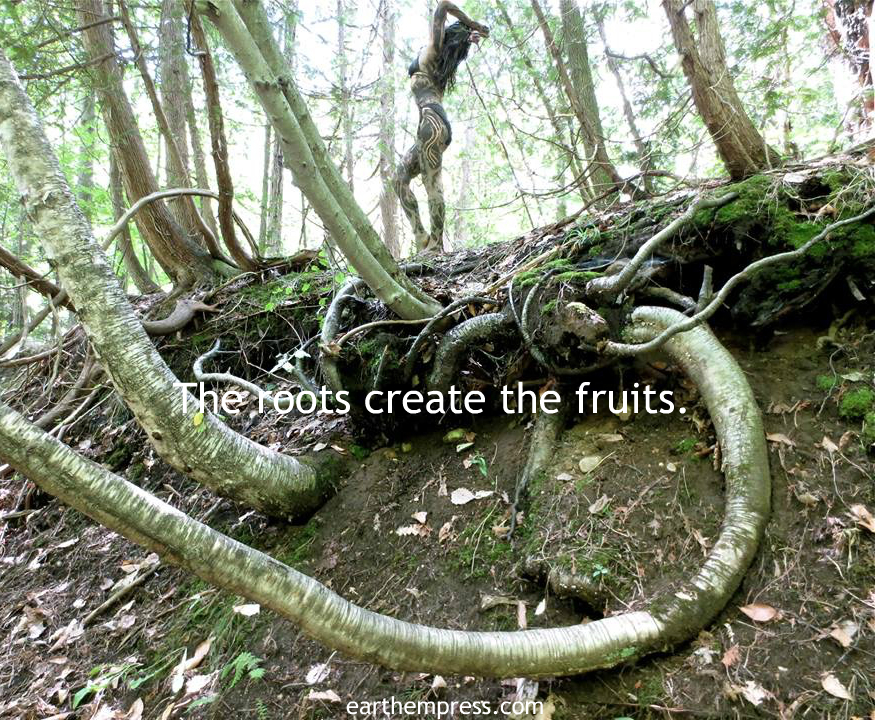 roots create the fruits